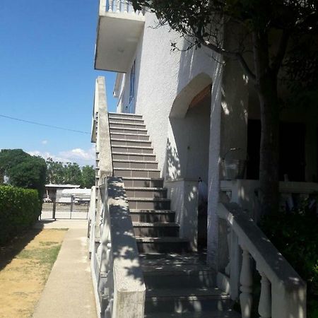 Apartment Zdenka Povljana Zewnętrze zdjęcie