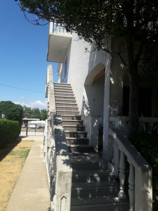 Apartment Zdenka Povljana Zewnętrze zdjęcie